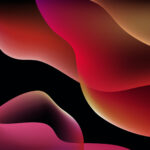 CryptoVase - Chinese Antique